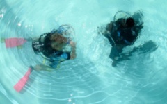 Diving in Zanzibar