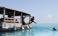 Diving in Zanzibar