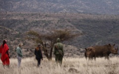 Walking Safari Kenya