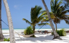 Zanzibar beach - Pongwe