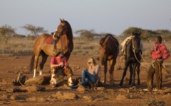 Kenya - horse riding