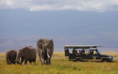 Family safari - Amboseli