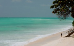 Itinerary photo - Zanzibar
