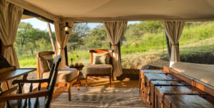Pioneer Camp, The Serengeti, Tanzania
