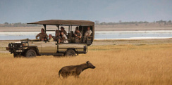 Africa megapic safaris q76 tts